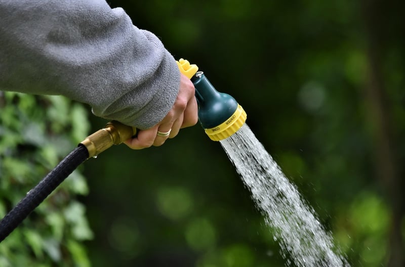 Watering Cans