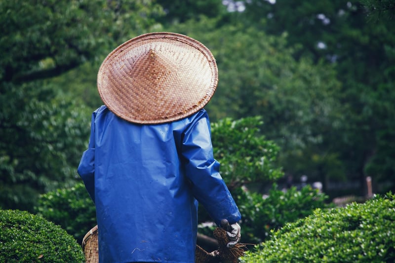 Shovel in garden